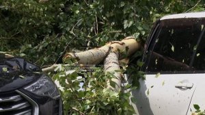 Стихия сегодня обрушилась на Златоуст