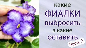 Какие фиалки выбросить, а какие оставить.Часть 2