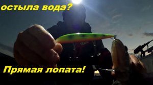 Остыла вода. Прямая лопата!