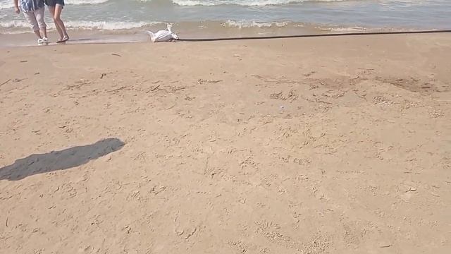 Джемете смотреть онлайн