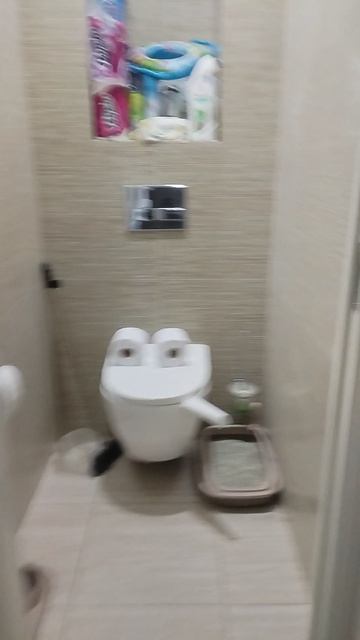 ТУАЛЕТ ДЫМИТ!!!!!!