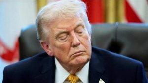 Союзники США разработали план по сдерживанию Трампа