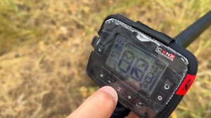 Битва  ! MINELAB EQUINOX700 против XP ICON ICONX . Сравнение в грунте.