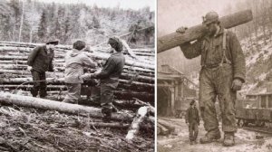 В тайге в 1970х были замечены остатки популяции великанов