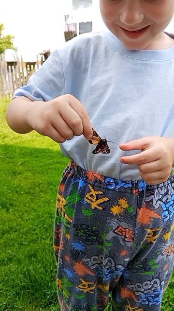 😍 Тихая гавань! 🦋🏡 Дом, милый дом! 💖