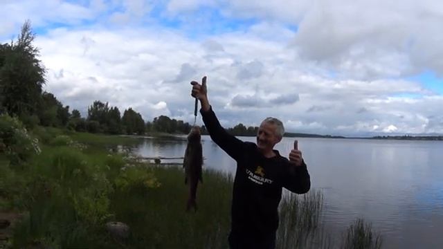 КАРЕЛЬСКИЕ ЛЕЩИ ГИГАНТЫ!ЭТО НАДО ВИДЕТЬ смотреть онлайн