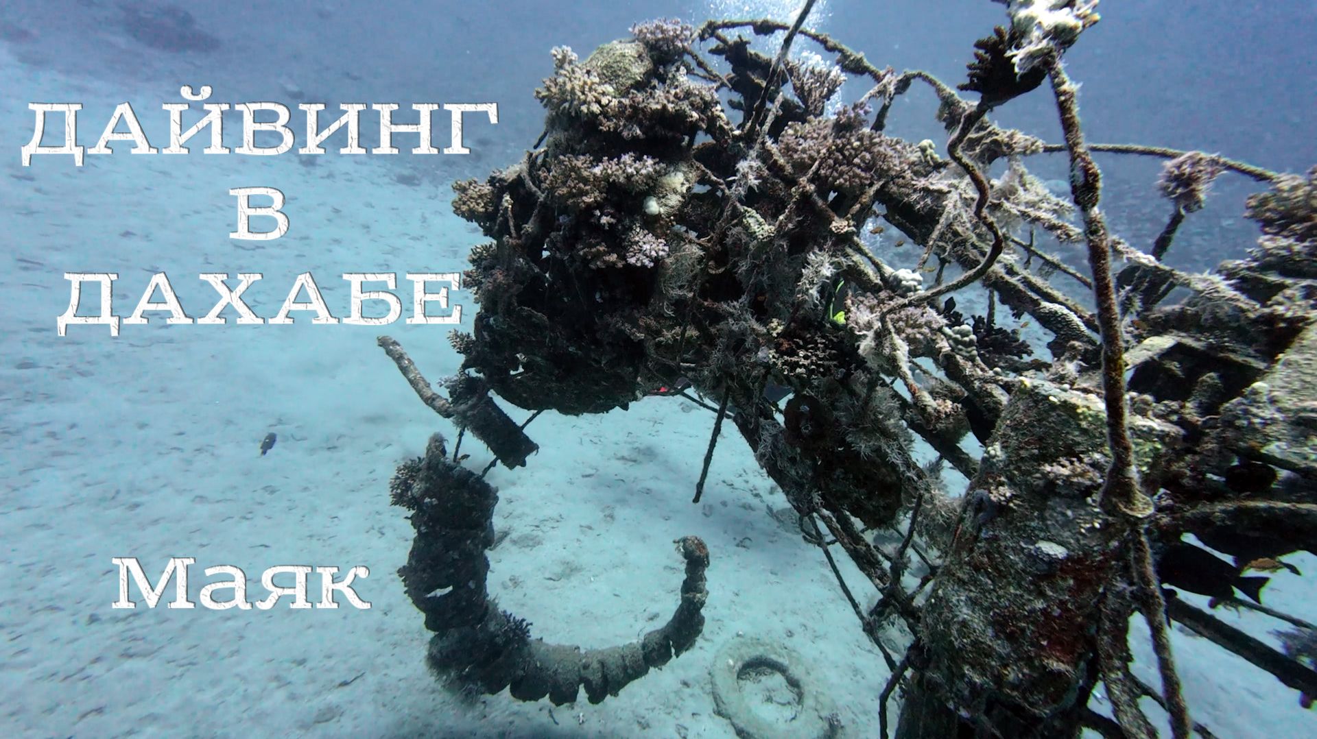 Дахаб 2026