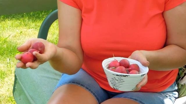 Что можно ЕЩЁ посеять в конце ИЮНЯ - начале ИЮЛЯ!