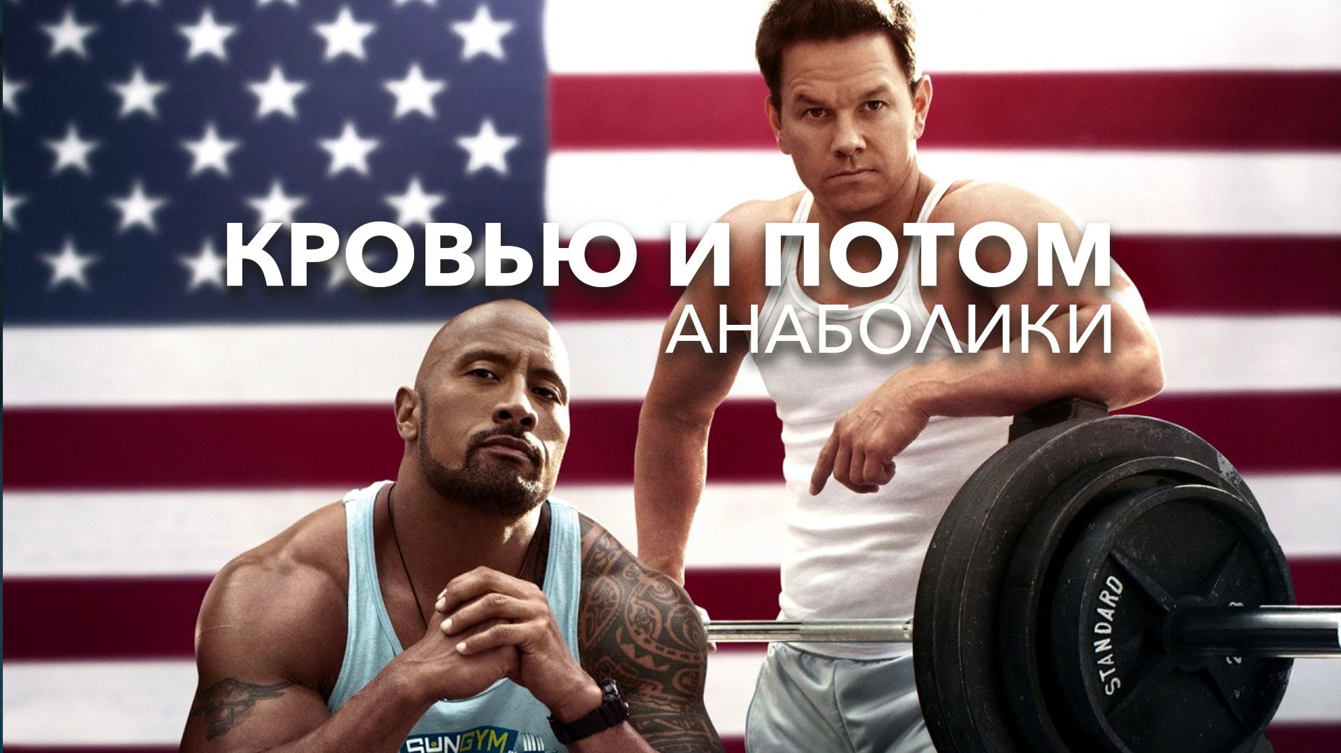 Кровью и потом: Анаболики (2013) / Pain & Gain