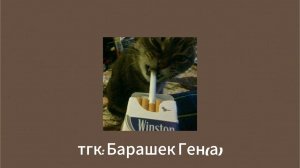Плейлист, а ты принял ситуацию