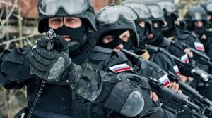 Баб Яга, Гарри Поттер и Шойгу(стих написан в 2014 г)