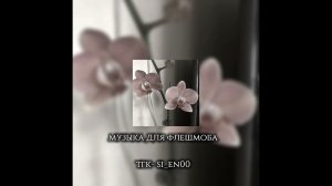 Музыка для флешмоба || вайбовые песни