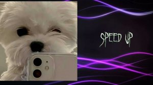 speed up версия песни Альтушка