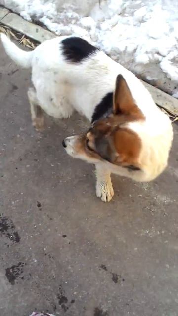 Я ж щас заплачу! 😢😂 смотреть онлайн