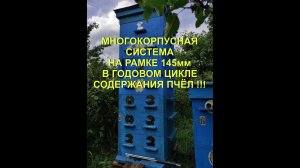 Ч.1.  МНОГОКОРПУСНАЯ СИСТЕМА УЛЬЯ НА РАМКЕ 145мм  В ГОДОВОМ ЦИКЛЕ !!! ПОЛНАЯ ТЕХНОЛОГИЯ РАБОТЫ !!!