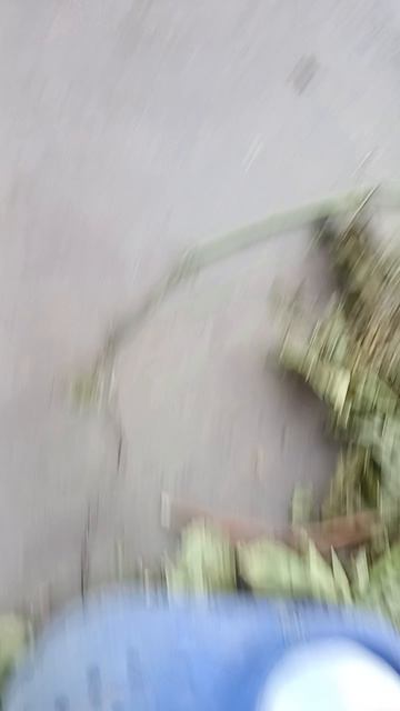 Я и асмр смотреть онлайн