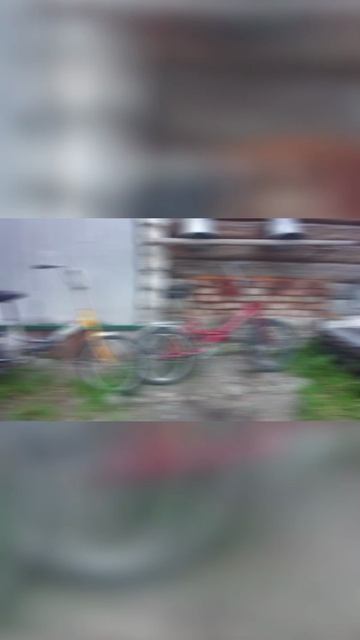 1000033120.mp4
