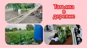 Подпорки для яблони)) Народная мудрость права)) Огурцы нарвала и закатала))