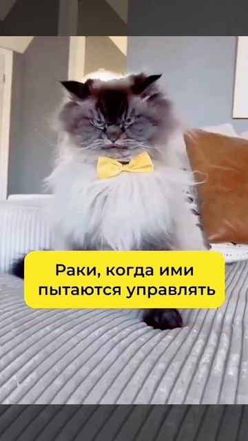 Гороскоп на неделю 😅