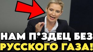 Алис Вайдель: НАМ П*ЗДЕЦ БЕЗ РУССКОГО ГАЗА, ОЧНИТЕСЬ! Рубит ПРАВДУ-МАТКУ о ГЕРМАНИИ и РОССИИ