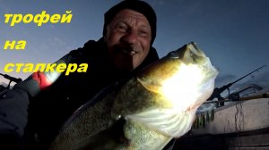 Смена модели воблера в зависимости от освещения. Трофей на Сталкера.
