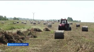 Аграрии Башкортостана заготовили свыше 430 тонн сенажа: как проходит кампания - сюжет «Вестей»