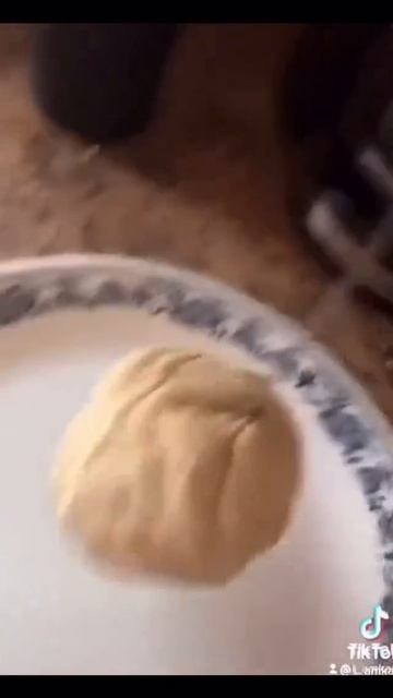 Тесто и собака
