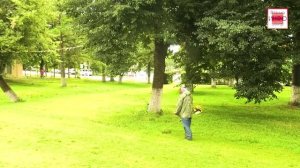 Благоустройство в действии: покос травы и содержание зелёных зон в Вязьме