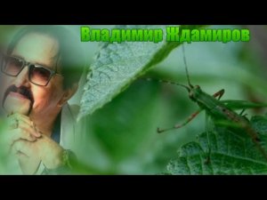 1524.Владимир Ждамиров - Кузнечик. НОВИНКИ ШАНСОНА.