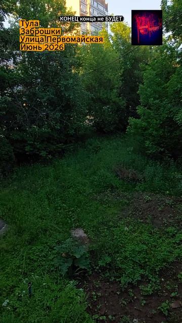 Тула. Заброшки в центре города на улице Первомайской. Июнь 2026 года.