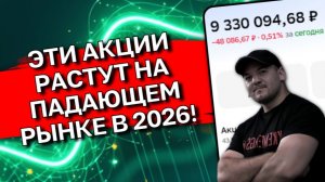 Рынок рухнул на 20% за 5 месяцев! А ЭТИ акции в 2026 (список внутри)