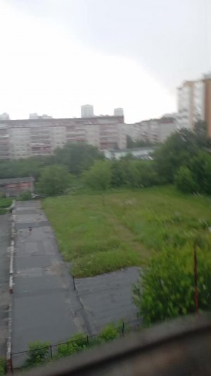 лимон
