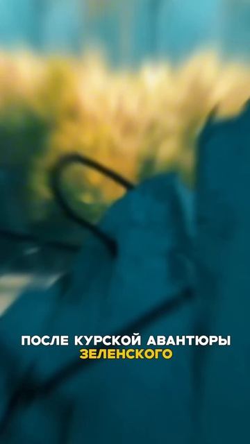 Народ Украины живёт в информационном вакууме, или просто абстрагировался от происходящего.