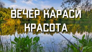 Рыбалка в Московской области вечером на карася
