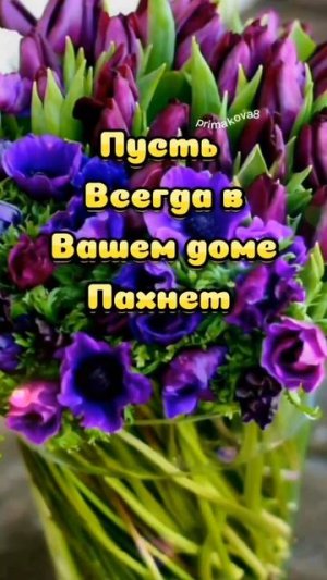 Доброе утречко ☕ вторника, хорошего дня и отличного настроения всем желаю ☕