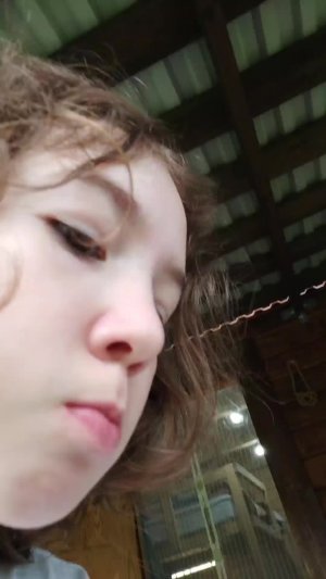 дача