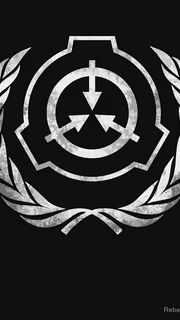 Scp 3 раза не стал scp
