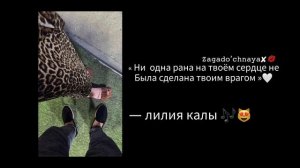 цыганская песня 2026