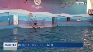 Детеныш дельфина родился в парке «Ривьера» в Сочи