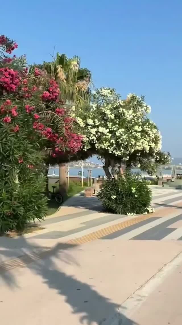 АЛАНЬЯ 2026 ☀️ Жара +32°! Набережная в цветах, море +29° и атмосфера лета 🌊