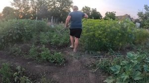 Наталья Губарева. РАБОТА КИПИТ ⧸ ЖИЗНЬ В ДЕРЕВНЕ #villagelife