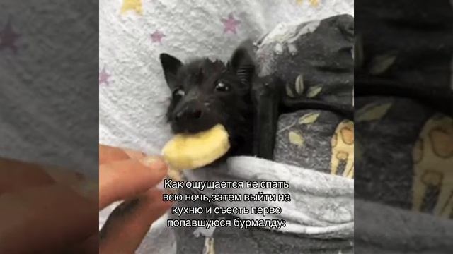 Укусно