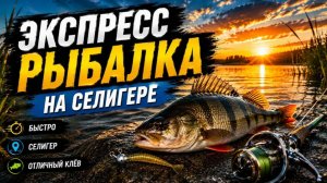 Экспресс рыбалка на Селигере.