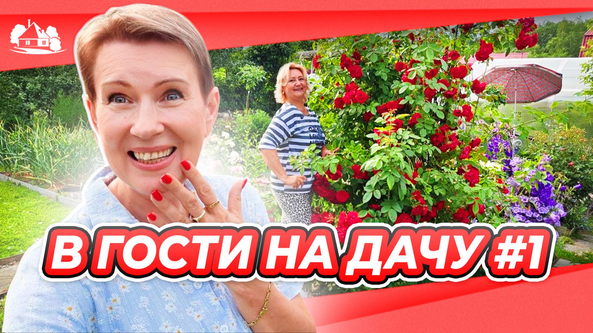 Едем на дачу выпуск №1 | Розовый сад Ларисы 6 соток в Подмосковье смотреть онлайн
