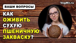 Как восстановить СУХУЮ пшеничную ЗАКВАСКУ в домашних условиях. Оживляем закваску после сушки