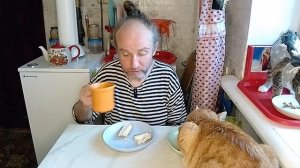 Завтрак с котями. Конфликт перешёл в открытую фазу. Мукбанг. Обжор. Еда на камеру. Диета. Шизофрения