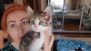 Семья из Мариуполя. Обновочки.Помогите выбрать.#семьяизмариуполя #мариуполь