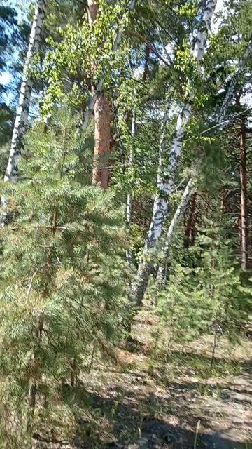 Кен