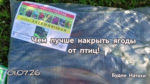 Спасаем ягоды от птиц! Куда потерялся отпуск, вроде тут а нет уже😅!