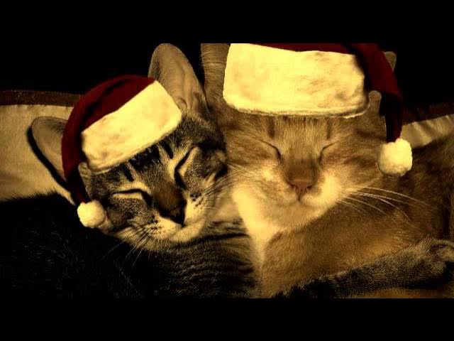 Новый Год 2015 песня. Я тащусь от этой новогодней песен... смотреть онлайн
